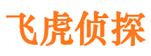 兴平市私家侦探